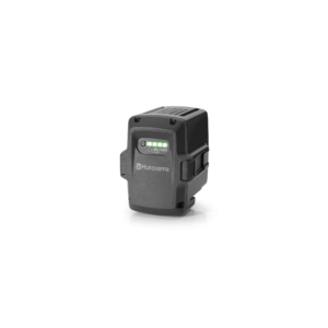 Batteri BLi100